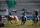 Pferd International 032